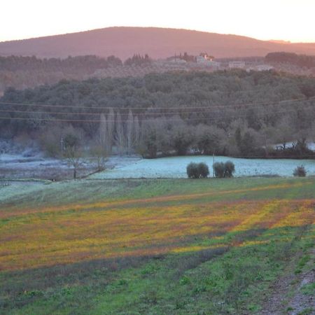 Podere Ficareto Farm Ancaiano Esterno foto