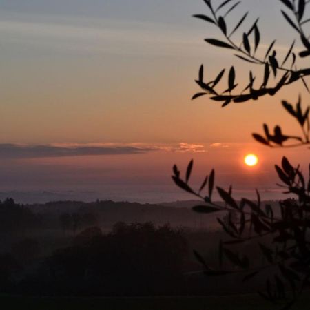 Podere Ficareto Farm Ancaiano Esterno foto