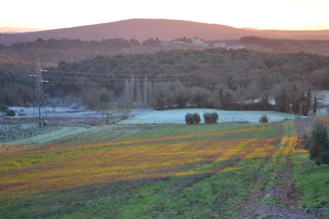 Podere Ficareto Farm Ancaiano Esterno foto