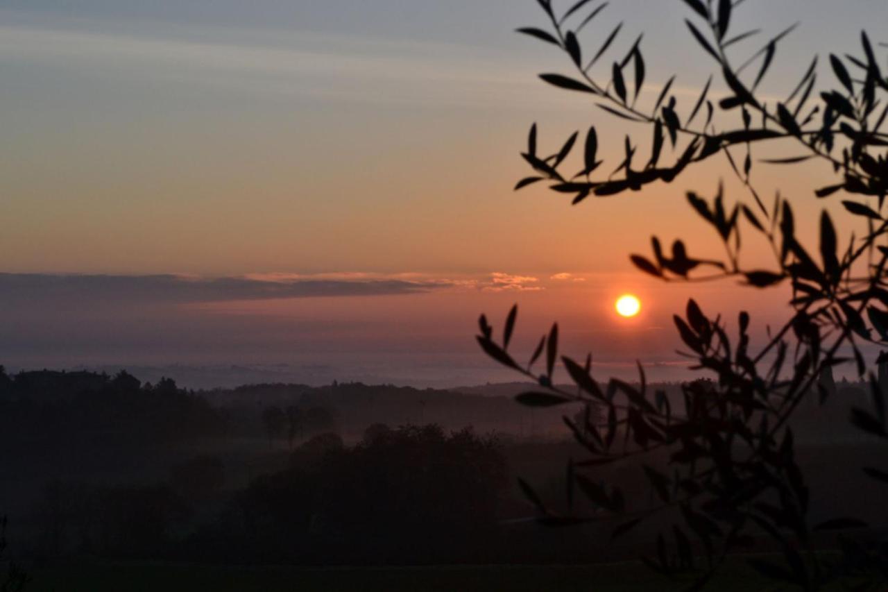 Podere Ficareto Farm Ancaiano Esterno foto