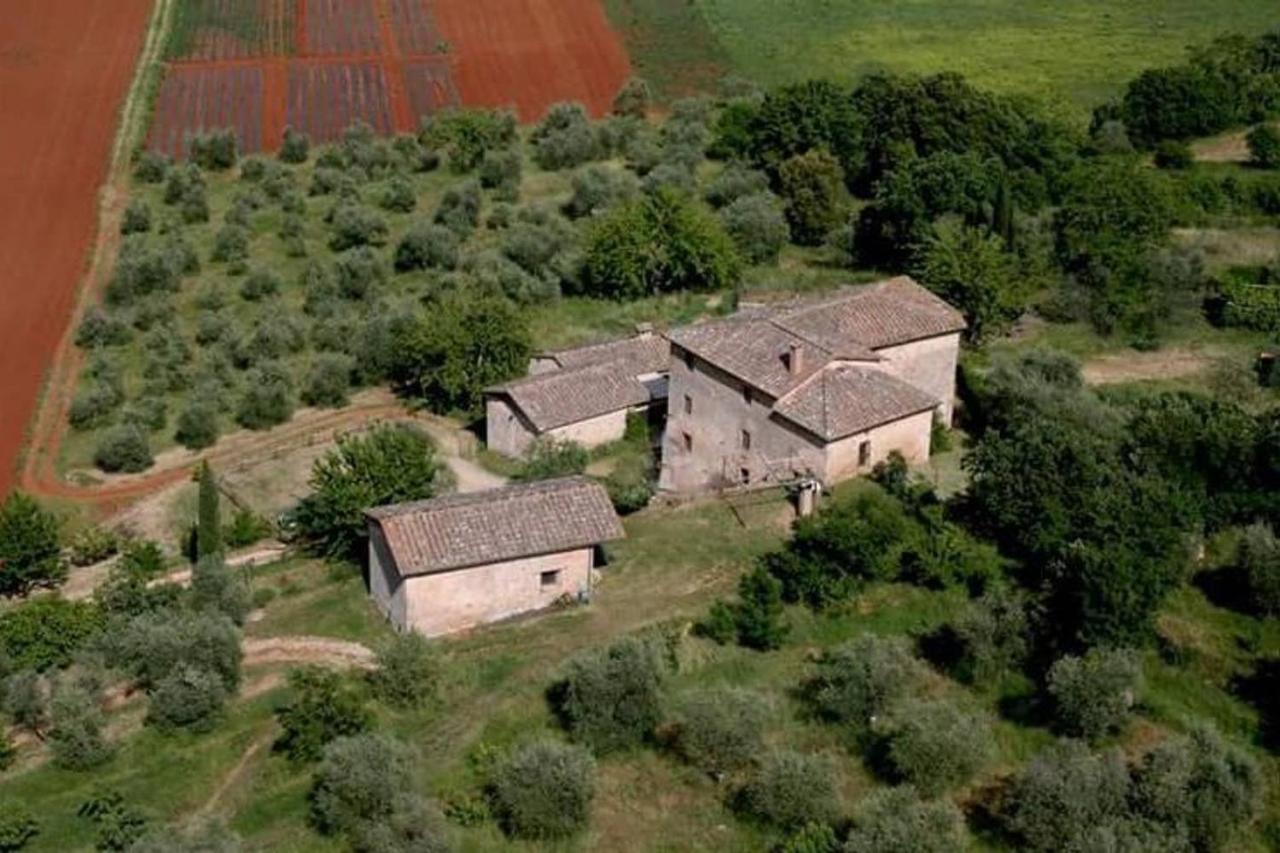 Podere Ficareto Farm Ancaiano Esterno foto